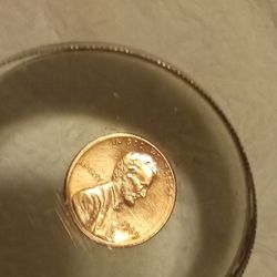 1989  COPPER PLANCHET WITH  RIM ERROR
