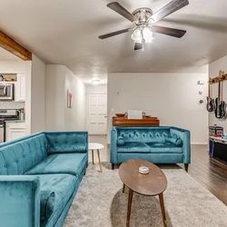 Velvet Couches