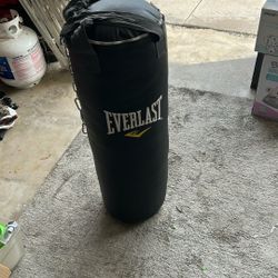 Everlast Punching Bag 