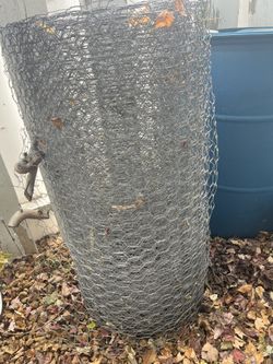 Chicken wire roll could be 50 feet could be 100 feet. It's a great deal one and a half inch hole size chickens quail small birds OK