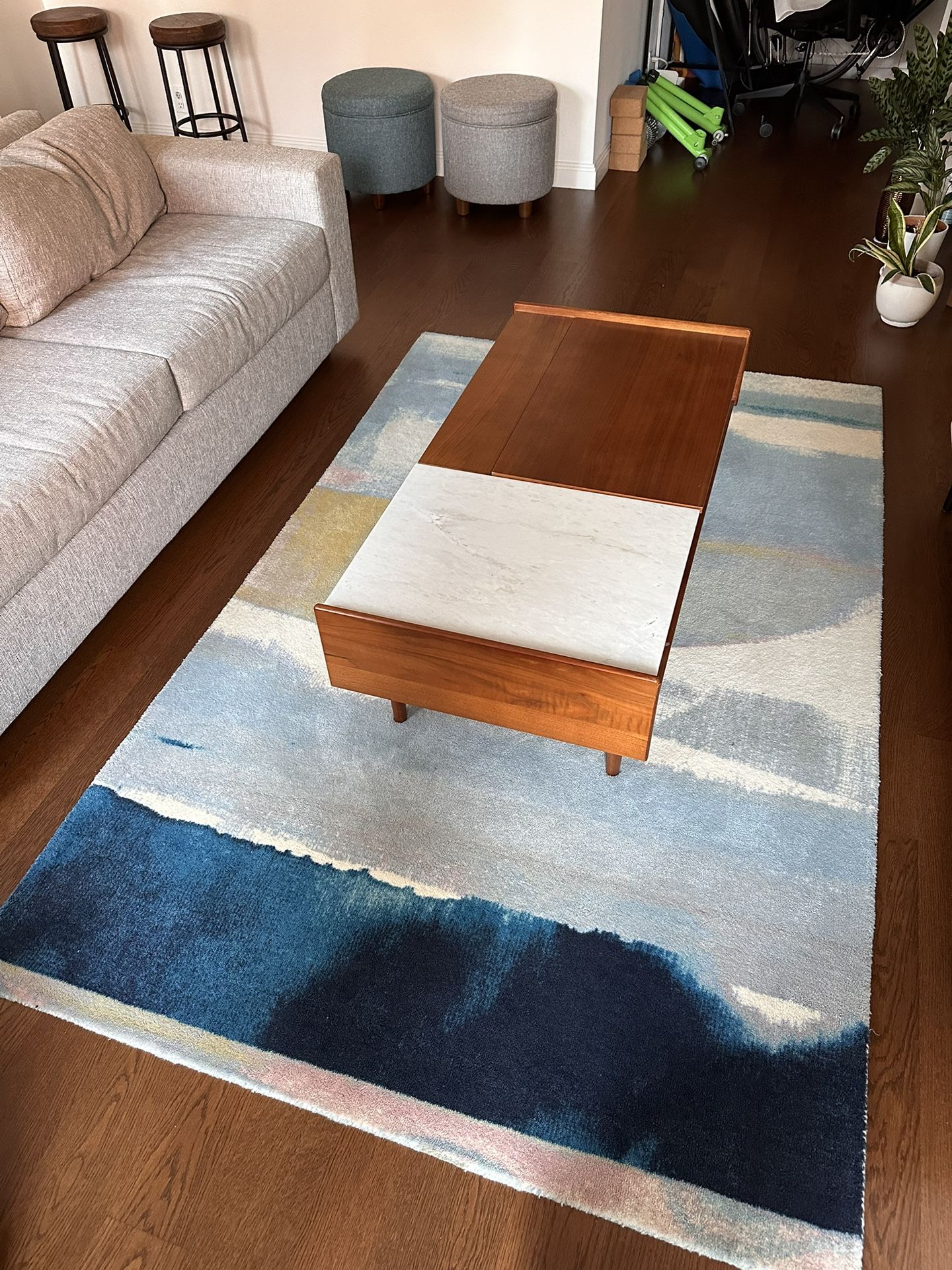 West Elm Sun Kissed Landscape Rug