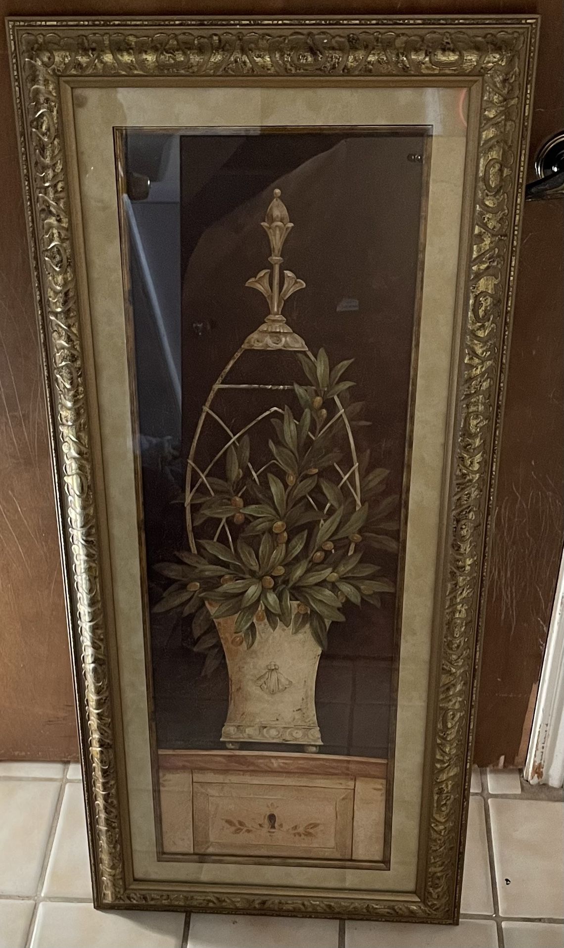 Beautiful Olive Topiary ||