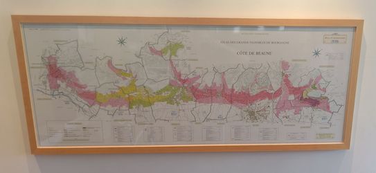 Vintage Wine Map Côte de Beaune region Burgundy France Gilted Wooden Framed