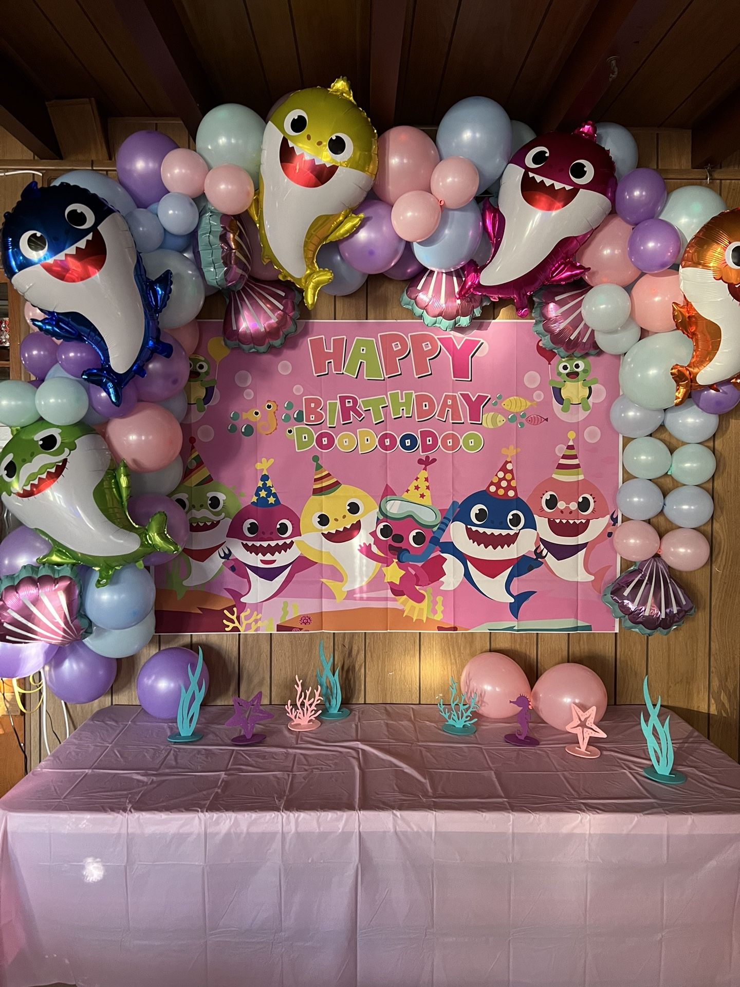 Baby Shark Backdrop And Outfit