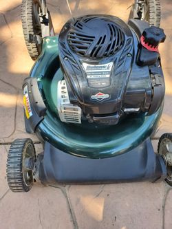 Rolens Briggs&stration