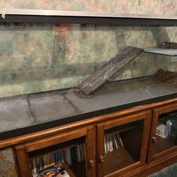 100 gallon aquarium tanks