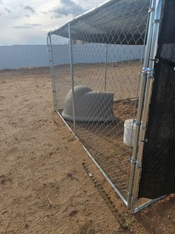 Dog Run