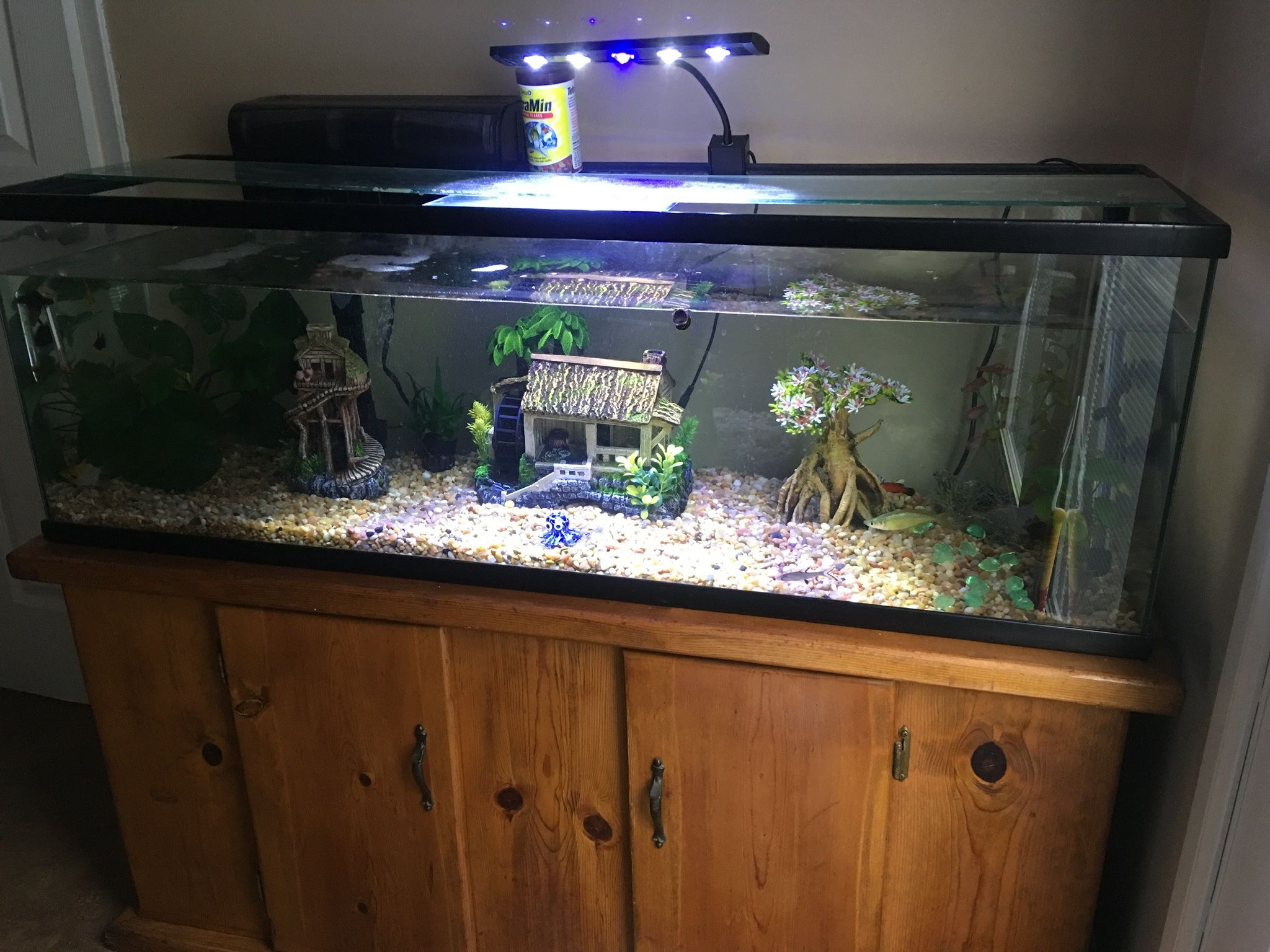 60 Gallon Fish Tank With Accessories NO FISH