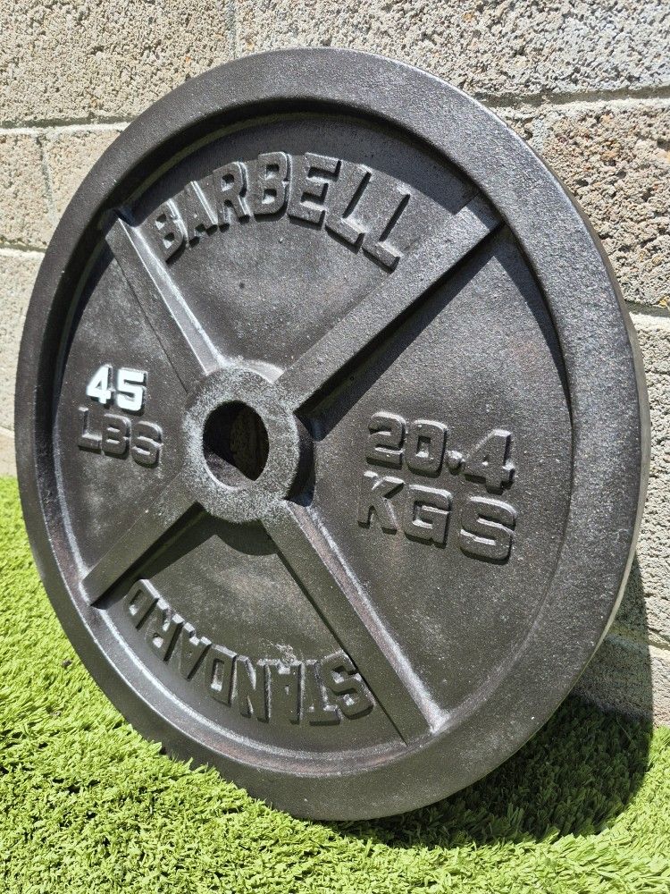 *-:*-:*45 Lb Barbell Standard*-:*-:*