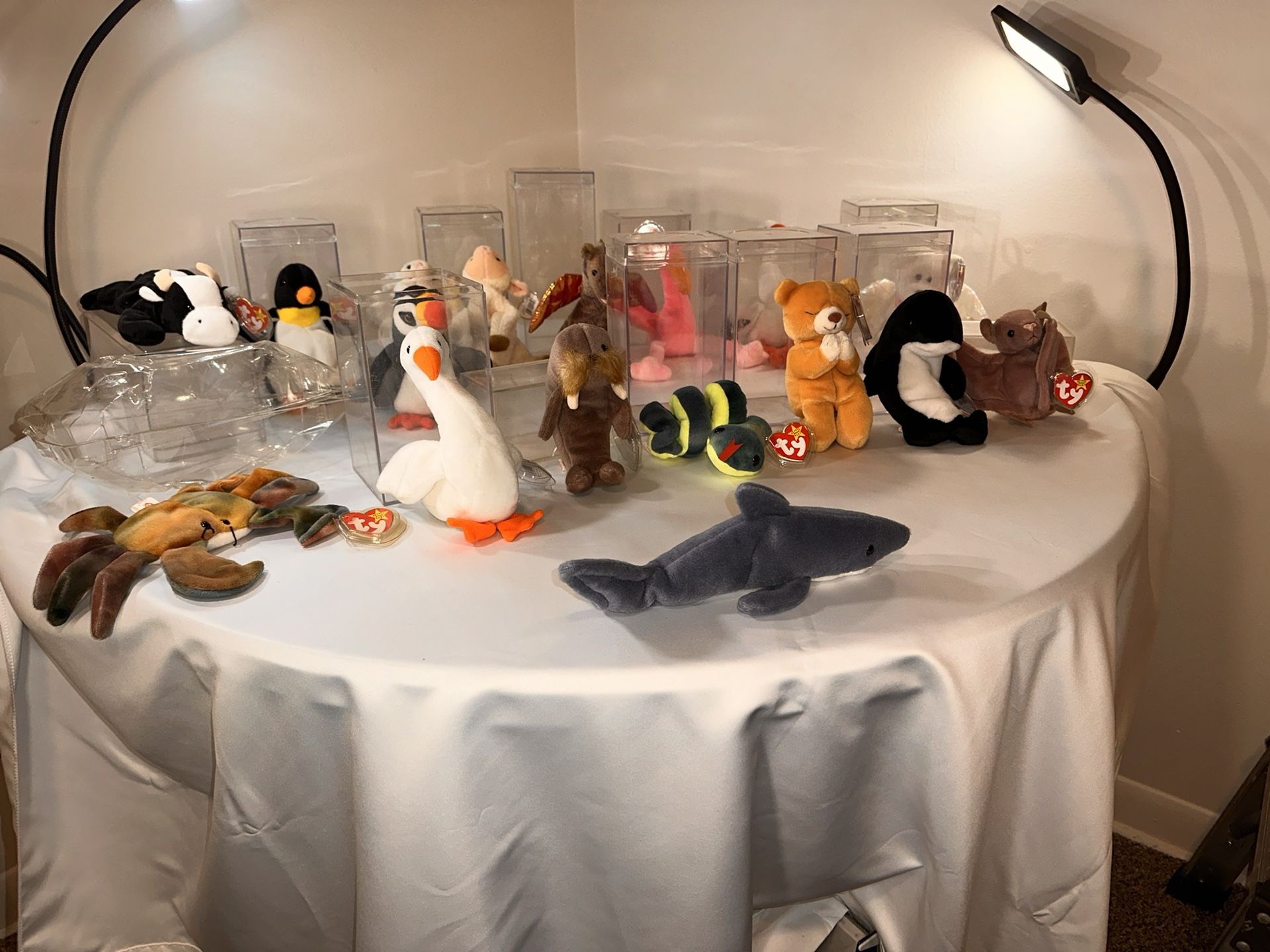 The Beanie Babies Collection ty (17) Stuffed Animals Plush Toy NEW with Plastic Sealed Tags & Cases