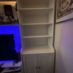 Bookcase (with doors)