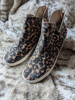 Claude Cudoe Steve Madden Sneaker