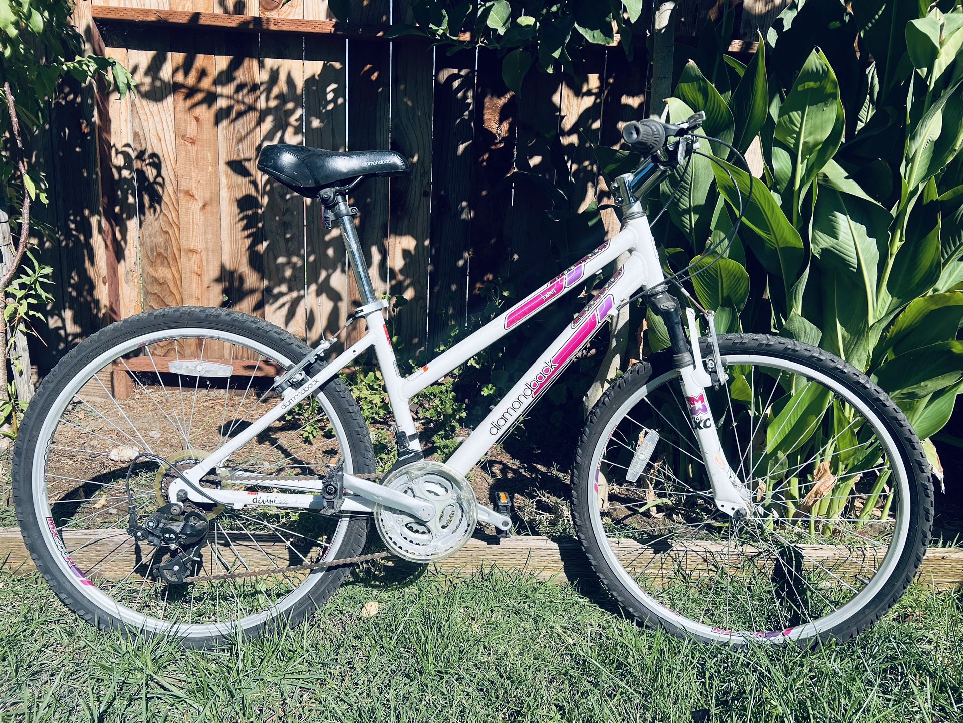 Bikes  $40 Each