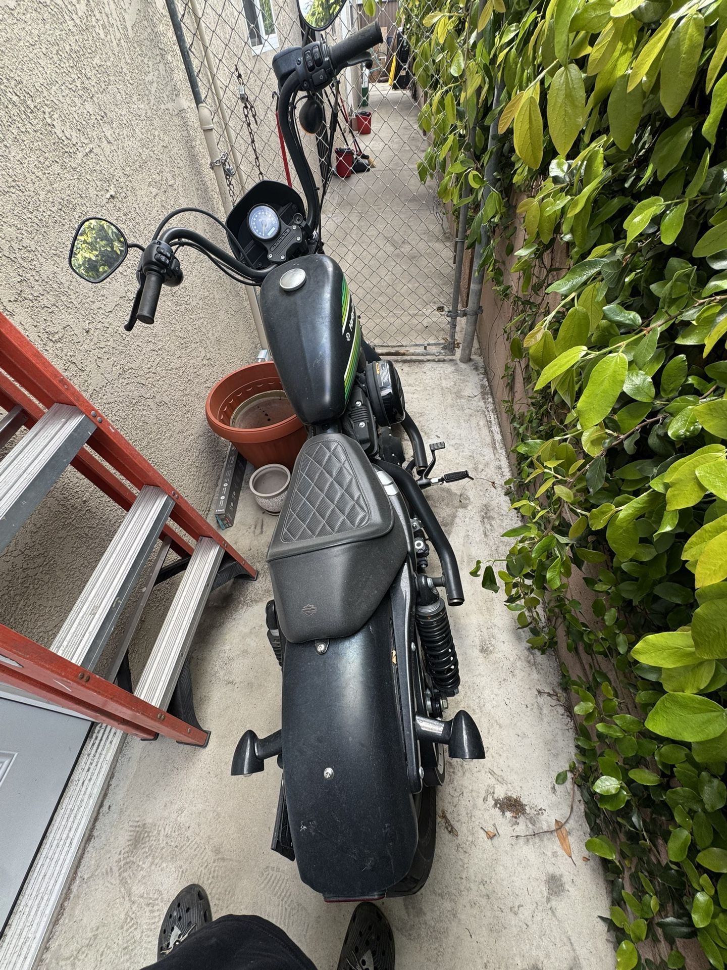 2021 Harley Davidson Sportster