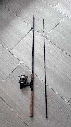 Daiwa Spinning Reel and Fishing Rod Combo