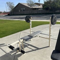 Weight Bench Bench Press With Barbell And Plastic Weights 