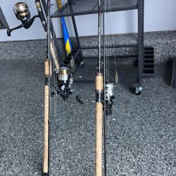 Carp Fishing Poles