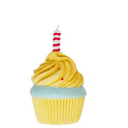 Squeaky Cupcake Toy