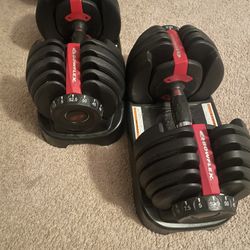 Bowflex Adjustable Dumbbell 
