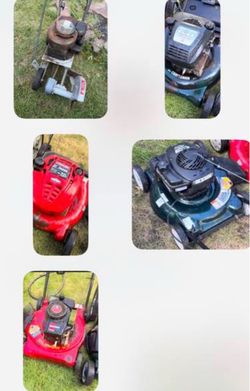 All mowers edger today only 99$. All 5