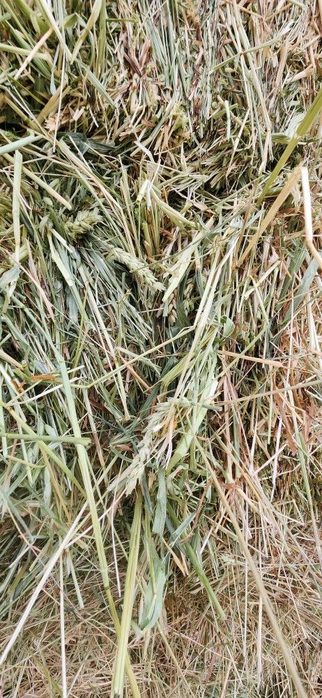 3 Way Hay