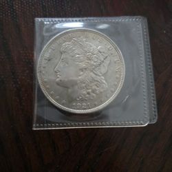 Silver Morgan