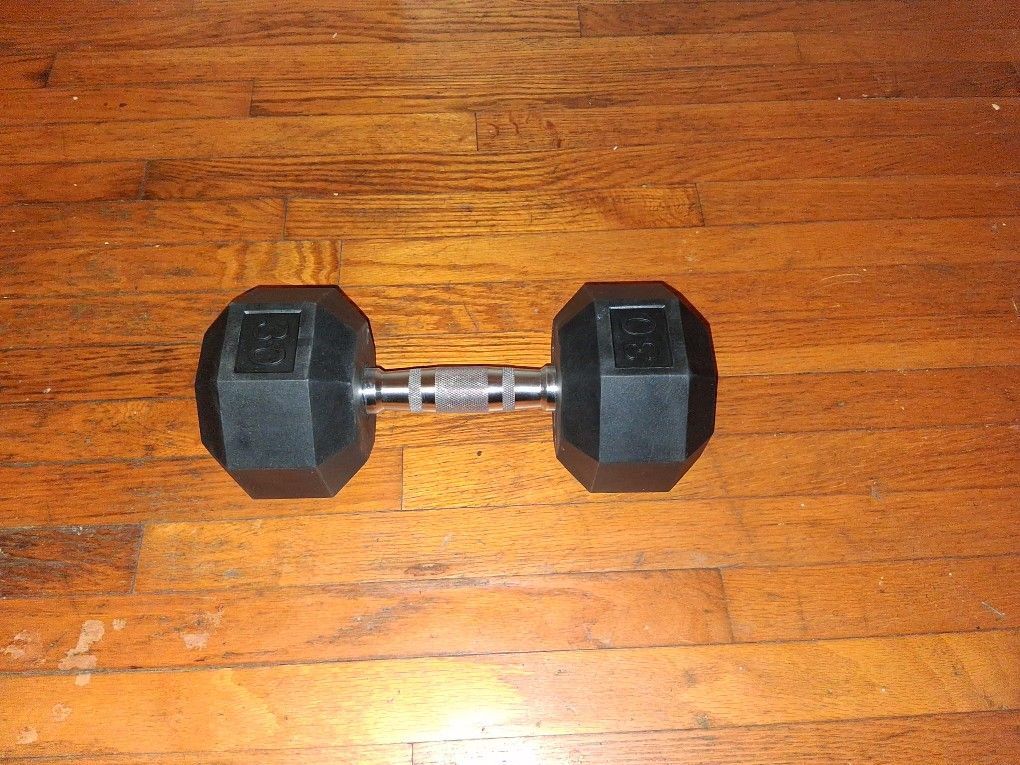 30lbs All In Motion Dumbbell