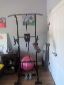 Pull Up bar( City Birds)- Price Reduced!