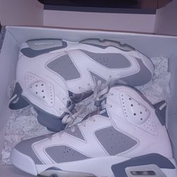 Cool Grey Jordan 6 Size 11