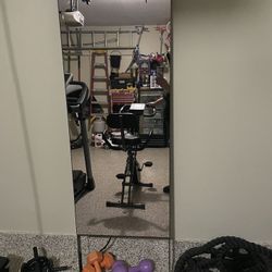 Peloton SMART Workout MIRROR