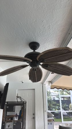Fan