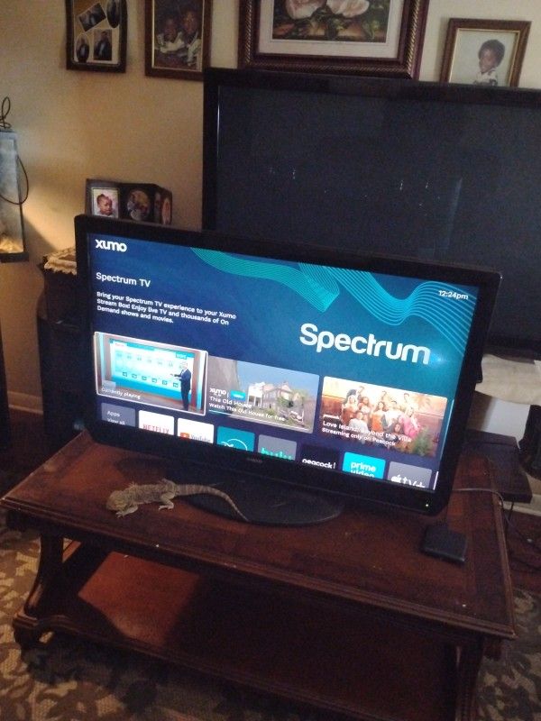 Sanyo Flat Screen