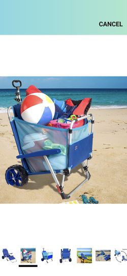 Beach Carry All Chair