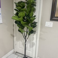 Fake Fiddle Leaf Fig 6ft