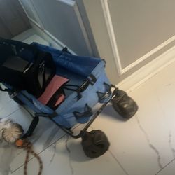 Foldable Wagon 