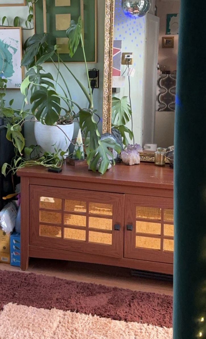 Cabinet - 49”L x 24”H x 20”W
