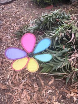 🐛🩷🐞READ THE FULL POST🌺🐞🐝FREE SUCCULENTS AND IVY. 🦋🌷🐛IF YOU READ THIS ITS AVAILABLE. 🌺🐝🌻