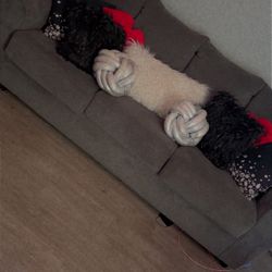 Couch and loveseat,