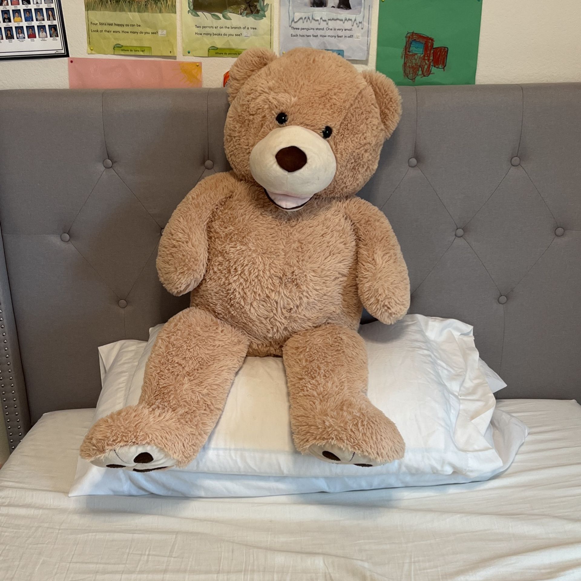 Giant Teddy Bear