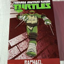 Raphael Action Figure 
