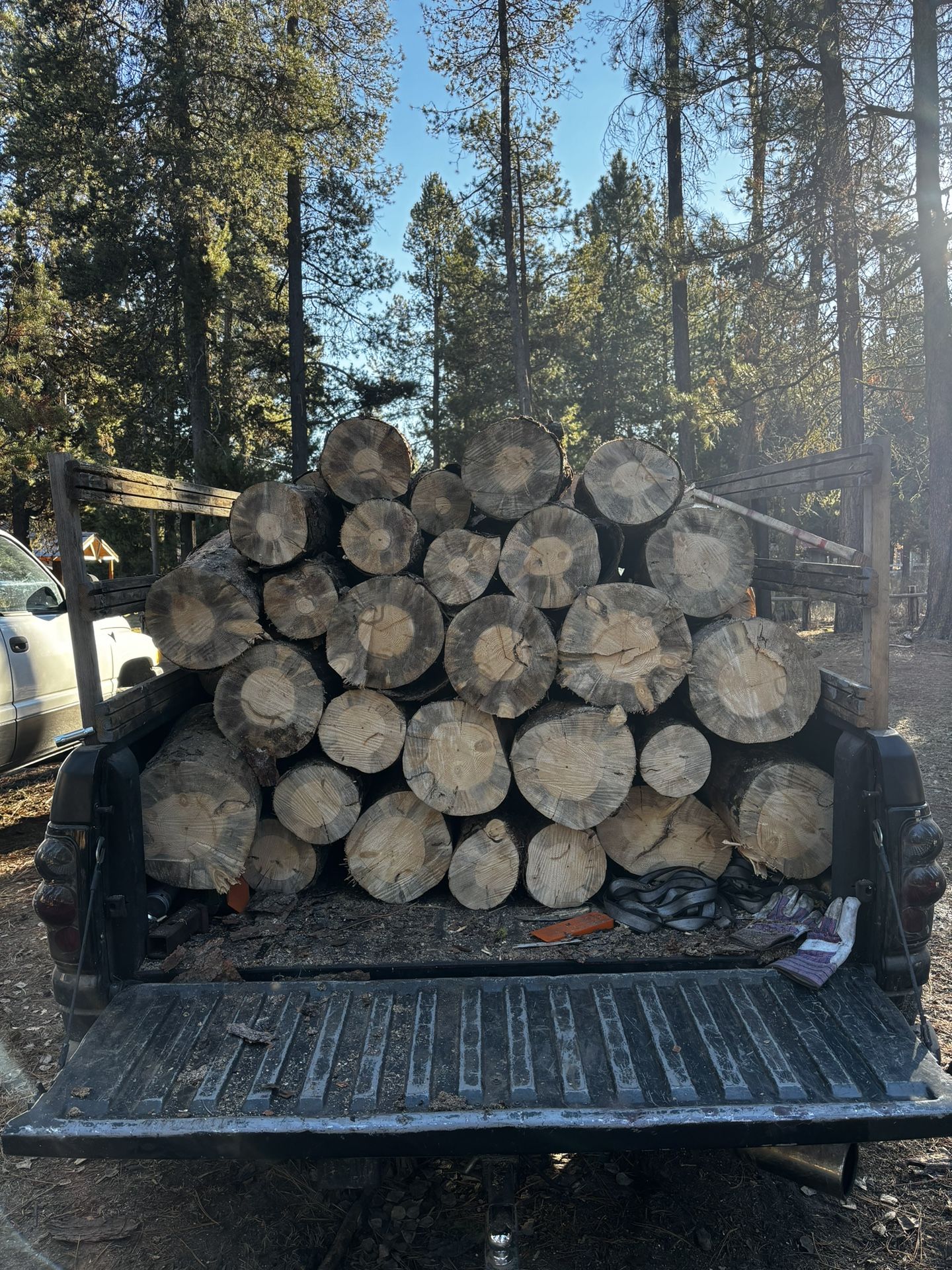 Dry Seasoned Lodgepole Firewood
