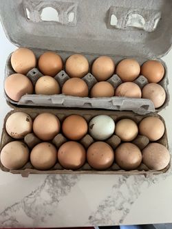 Productos orgánico