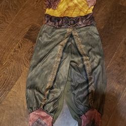 Raya and the last dragon costume