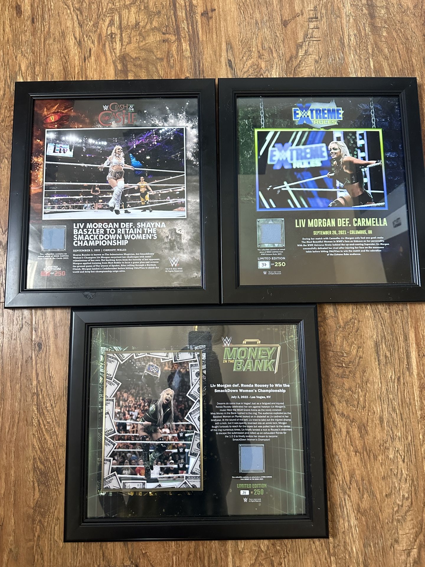 WWE Liv Morgan Framed Collage Plaque
