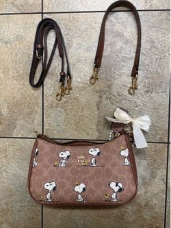 Coach x peanut bag