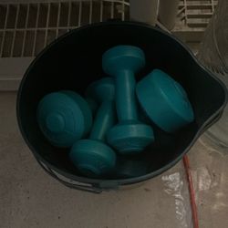 Dumbbells 5s 3s and 1s