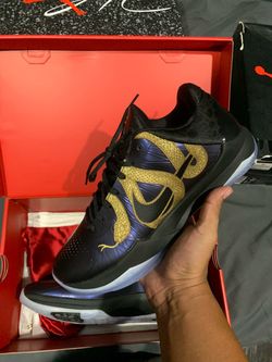 Kobe 5 Year of Mamba Eggplant
