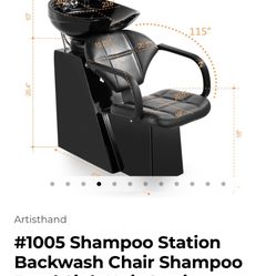 Shampoo Bowl And Chair Combo