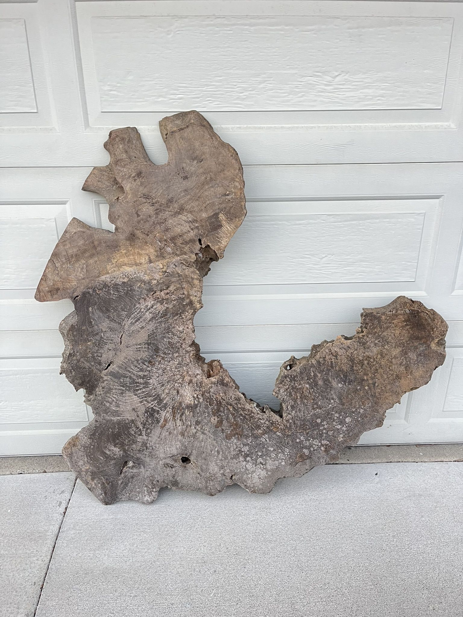 Live Edge Wood Slab Table Top