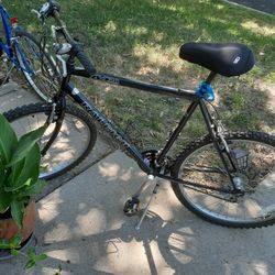 Raleigh 7 Speed M20 Mens Bike